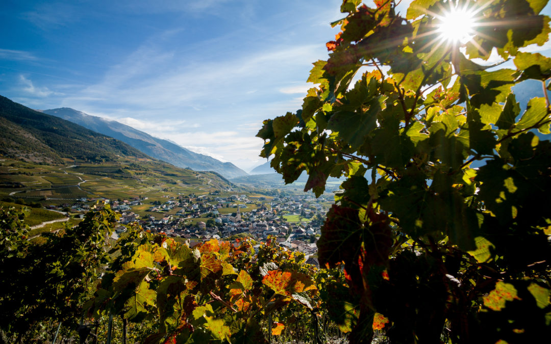 Musée du Vin | Weinmuseum