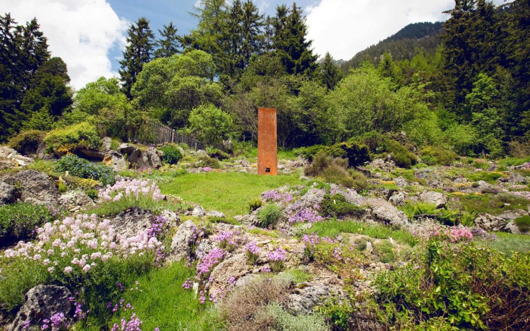 Jardin botanique alpin Flore-Alpe de Champex-Lac